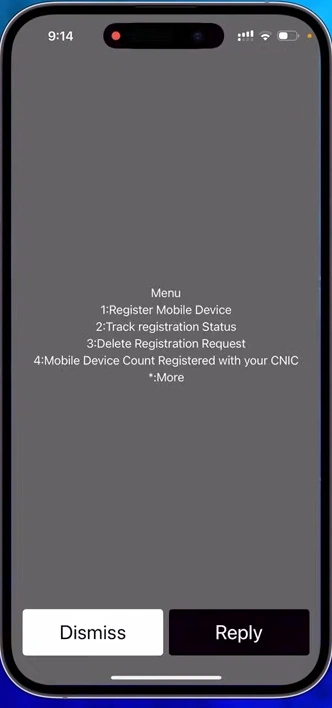 Screenshot Image for PTA Tax Check