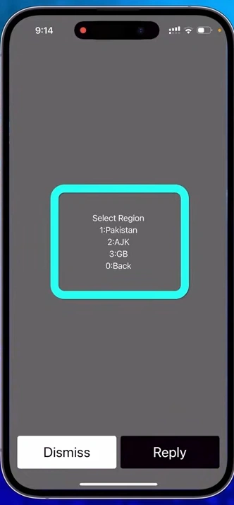 Screenshot Image for PTA Tax Check